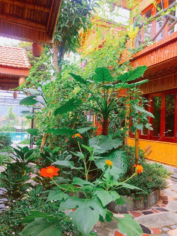 Country house Tam Coc Amanda *
